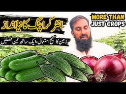 GROW 3 CROPS ON 1 LAND!