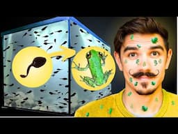 I Saved 1,000 Tree Frog Tadpoles and Raised Them in a Paludarium