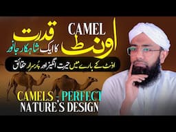 Amazing Facts About Camels | Oont ka Gosht Khane ke Fayde | Camel Milk Benefits | Soban Attari