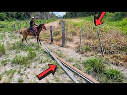 TRABALHANDO PESADO PARA ARRUMAR NOSSA TERRA! Porteiras novas e pasto dividido
