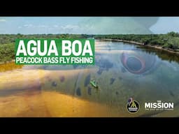 Peacock bass fly fishing – Agua Boa