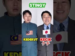 Orang Malaysia dengar Jepun cakap terus confuse! Kaki tu 'tiram' ke? Muda ni pembaziran? Jom tengok