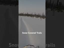 Snow Covered Trails #alaskanative #enigmaticgwichin #snow #shorts