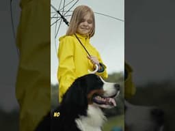 Dog Missing for Over a Month Found Stuck in a Hole Near Raging Car Fire