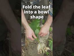 Foraging Basket Made from Burdock Leaves! #survival