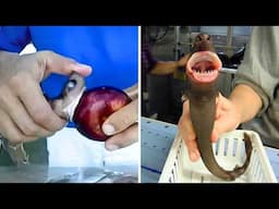 Cookiecutter Shark 🦈 It BITES Out Chunks!