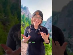 Hiking 8000 miles with a log