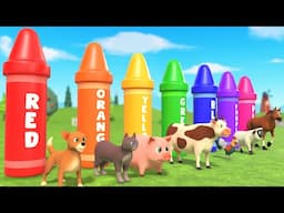 Baby Learn Colors with Crayons - Farm Animal Names and Sounds - Educational Videos for Kids Toddlers