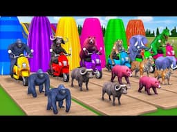 Long Slide Game with Elephant Gorilla Buffalo Tiger Dinosaur - 3d Animal Game - Funny 3d Animals