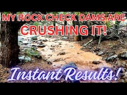 STREAMS RETURN TO MY NORTHERN AZ OFF-GRID HOMESTEAD!