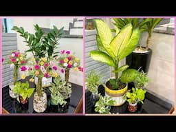 Unique Transformation With Used Plastic Bottles, Ideas For Mini Indoor Gardens