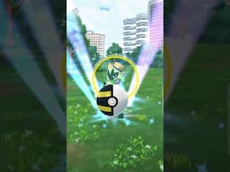 Shiny Floragatto Encounter/Le rencontre de Floragatto Shiny!