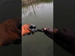 Ils ont tout jeté dans le canal !