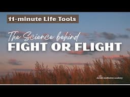 June 2025 Life Tools | davidji