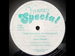 JUNIOR DELGADO - Open The Door To Your Heart [1980]