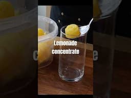 Lemonade concentrate 🍋