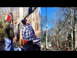 CLOSE CALL when a Massive 40 Foot Tree wreaks havoc