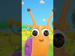 🍕🍄‍🟫 Pizza İçin Mantar Topluyoruz! Hop Hop Baykuş ile #çizgifilm #bebekleriçin