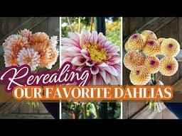 The Best DAHLIAS for Your Cutting Garden (Sharing the Top Varieties We're Growing this Season!)