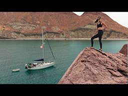 Isla San Francisco | Sailing Avocet