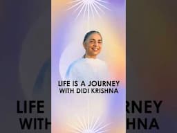 Life is a Journey | Didi Krishna #lifeisbeautiful #journey #shortsvideo