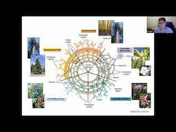 Connections: How mycorrhizal fungi weave together and protect our forests