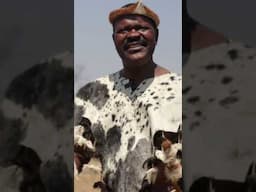 Albert Nyathi Talks Culture & Heritage