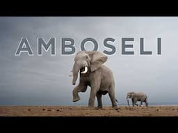 The Land of GIANTS - Amboseli National Park
