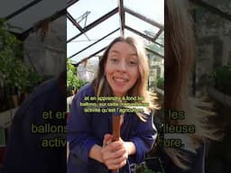 Un événement si cool 🌻