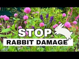 JUNE MIXED GARDEN TOUR: Rabbit Proof Garden Tips and Beautiful Blooms (Clematis, Phlox!)