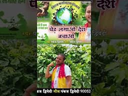 चलो हम पेड़ लगाते हैं | विश्व पर्यावरण दिवस | Pankaj Dwivedi