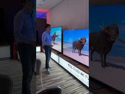 Mini LED TV with Best Viewing Angle?