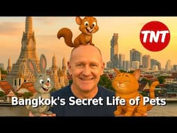 Bangkok's secret life of pets - compulsory registration