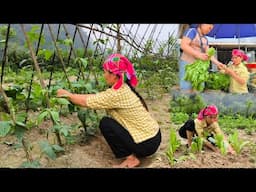 After selling vegetables, my mother took the time to take care of beans and vegetables in the garden