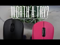 Worth a try? Two Underhyped Big Brand Mice