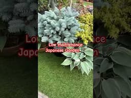 Arranging plants in a Japanese Garden