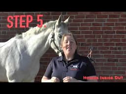 Teach Your Horse to Lower His Head with Gillian Higgins