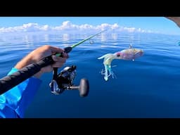 Offshore Lake Atlantic Florida Bottom Fishing - Jigging, Live Bait, and Cut bait! Snapper & Grouper!
