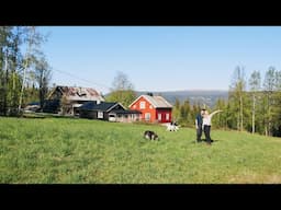 The First Spring at our new Homestead | #01 Farm Diaries