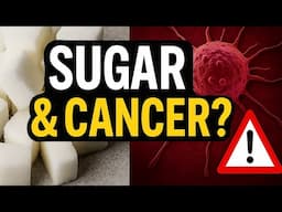 The Truth About Sugar and Cancer – With Stan Efferding