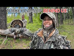 Turkey Hunting Success! * SOO MANY GOBBLES *