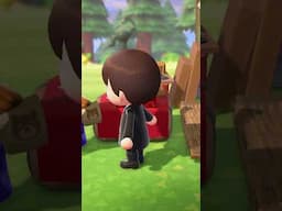 How to Get SECRET Items in Animal Crossing!