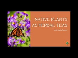 Native Plants as Delicious Herbal Teas--Let's Make Some!