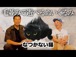【なつかない猫 ぬいぐるみ】毛先で遊べる可愛い猫ぬいぐるみ＜発売店舗情報はYouTube概要欄をチェック＞