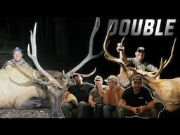 Our best day Of Elk Hunting Ever! Live watch and Review