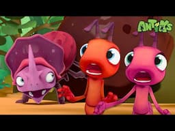 From Yum to Yuck: The Dung Beetle’s Dinnertime Disaster | Antiks 🐜 | Funny Cartoons for Kids