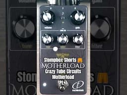 A RAT & a Big Muff In One Pedal? #guitar #guitarpedals @CrazyTubeCircuits #distortion #guitartone