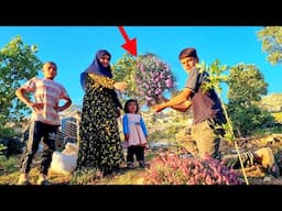 "Going to the hospital: Farzaneh, the head of the family, falls ill"
