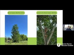 For Amplifying the Pulse: Art, Sound, and Natural Encounters (Online Workshop)