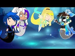 A normal day in the ocean:)